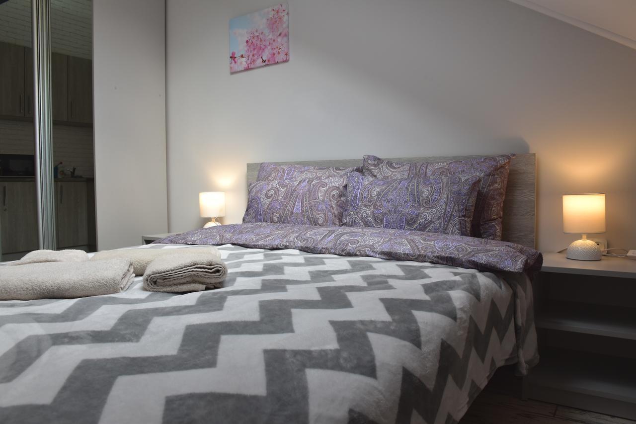 Mansard Apartment Lviv