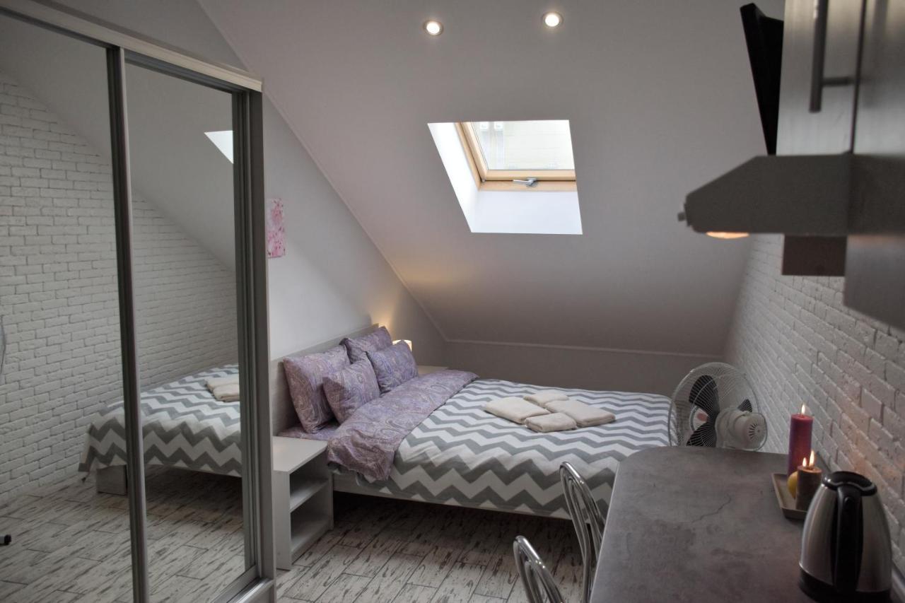 Mansard Apartment Lviv